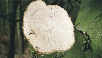 Baumhumor