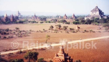 Tempellandschaft in Bagan/ Burma